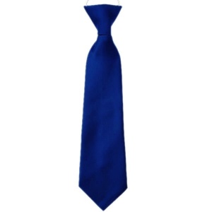 Boys Royal Blue Plain Satin Tie on Elastic